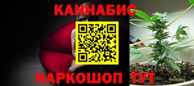 прущие грибы Ликино-Дулёво